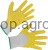 213922_Hauptbild__298051_71ed.jpg
