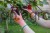 213603_Anwendungsbild__298056_ba50.jpg