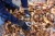 215418_Anwendungsbild__298062_eab2.jpg