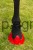 116638_Anwendungsbild__3210560_d183.jpg