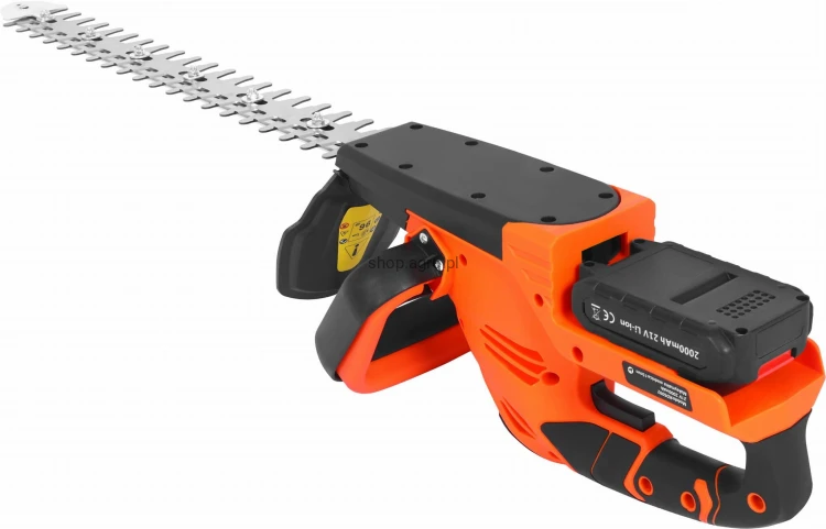 57021.jpg