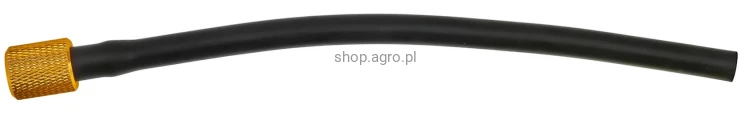 55875.jpg
