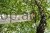eco_m_d5f1.jpg