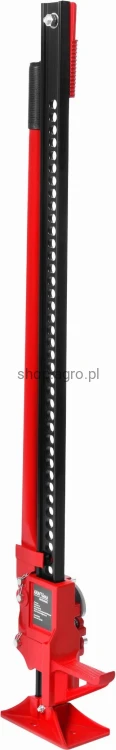 61253.jpg