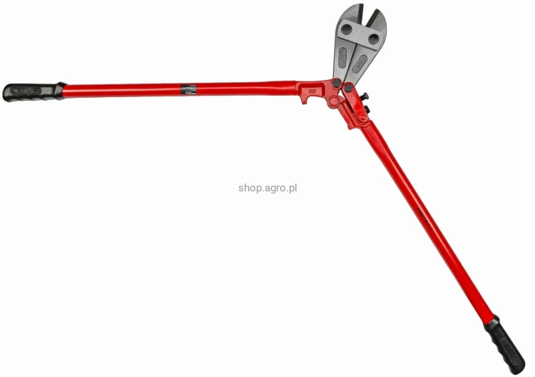 53762.jpg