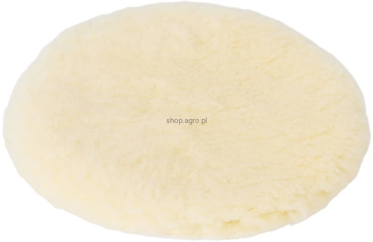54292.jpg