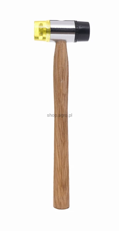 8702.jpg
