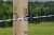 239399_Application_image_446599_8f3b.jpg