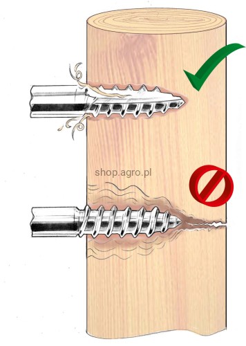 9622_Illustration_443269_204_9692.jpg