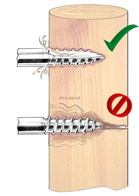 9622_Illustration_443269_204_9692.jpg