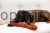 236831_Anwendungsbild__86082_521d.jpg
