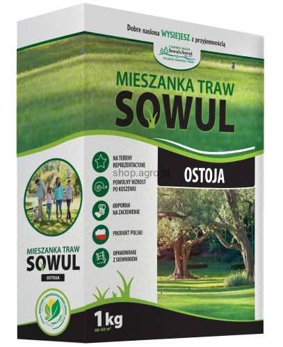 ostoja_KARTON__1__e470.jpg