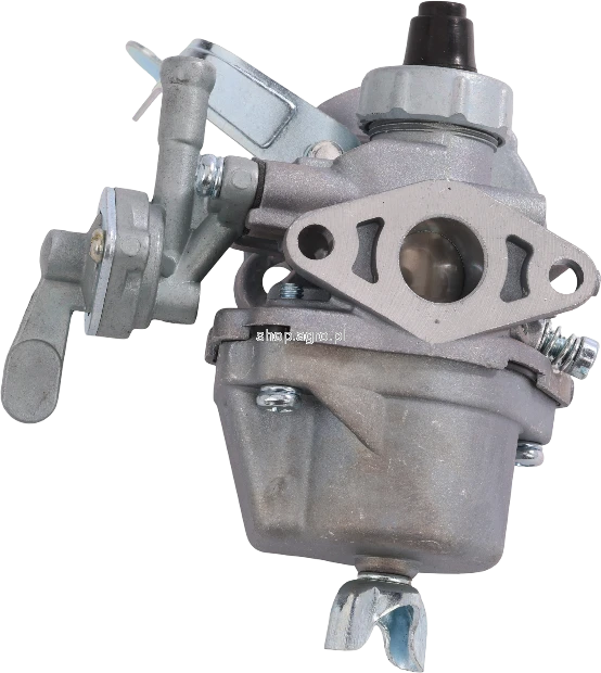 50251.png