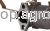 51487.png