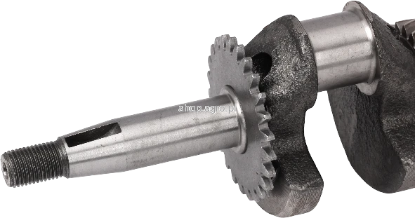 49427.png