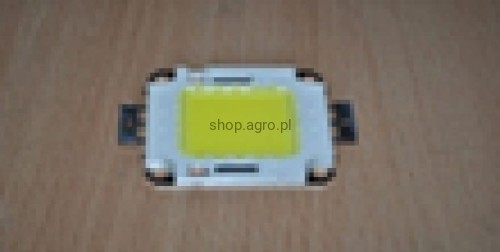 26147.jpg