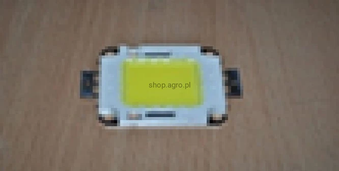 26147.jpg