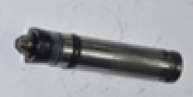 25901.jpg