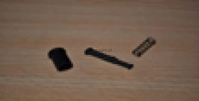 25890.jpg