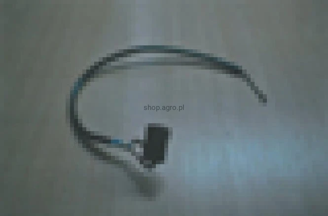 25883.jpg