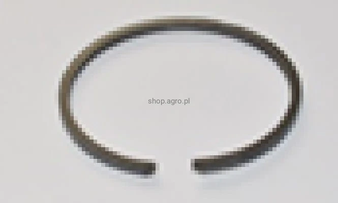25857.jpg