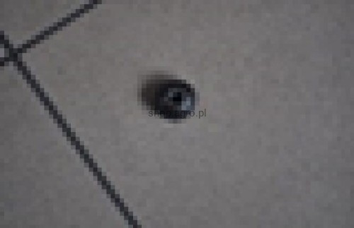 25836.jpg