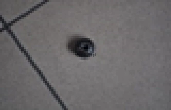25836.jpg