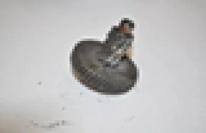 25800.jpg