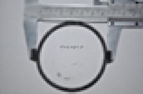25791.jpg