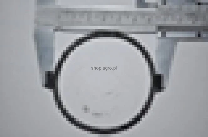 25791.jpg
