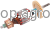 51855.png