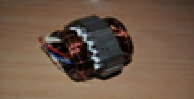 25713.jpg