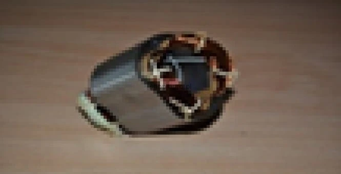 25708.jpg