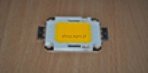 25684.jpg