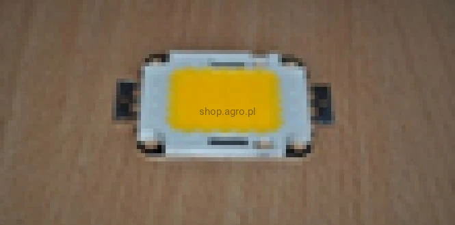 25684.jpg