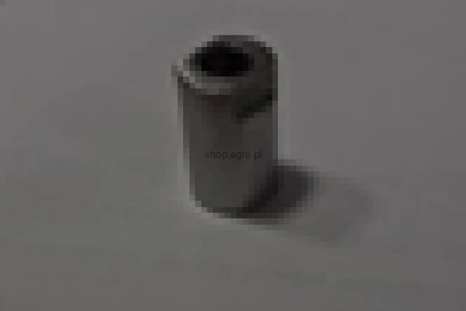 25617.jpg