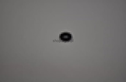 25603.jpg