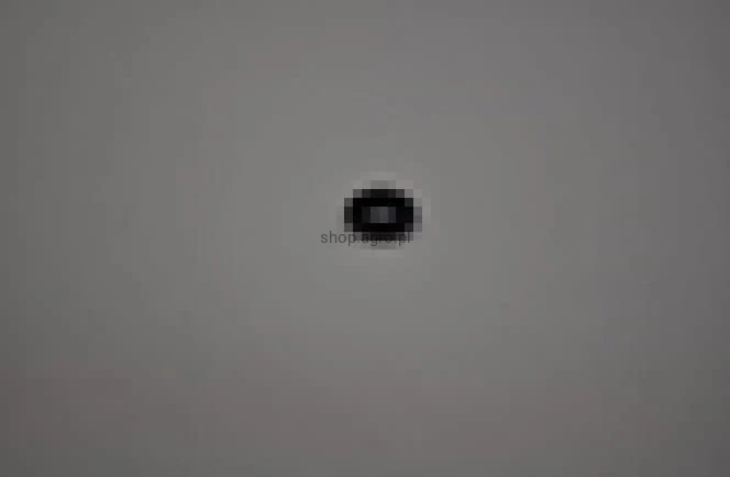 25603.jpg