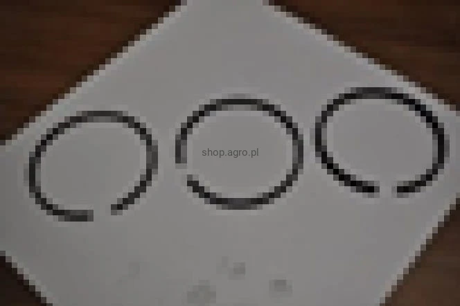 25598.jpg