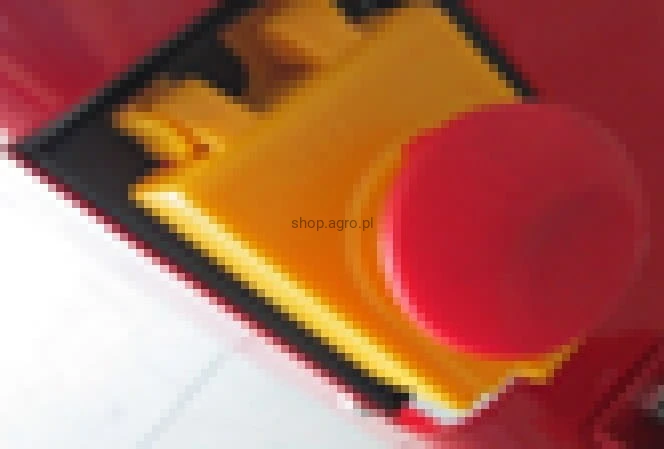 25568.jpg