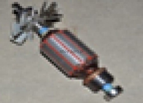 25561.jpg