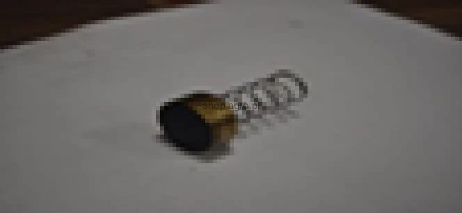 25552.jpg