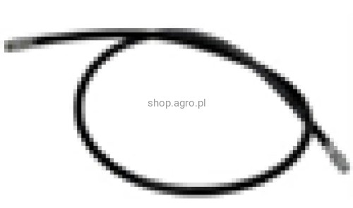 25548.jpg