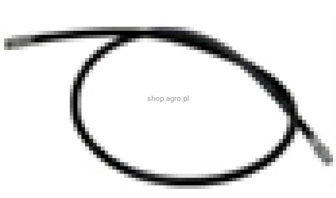 25547.jpg