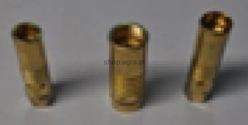 25508.jpg