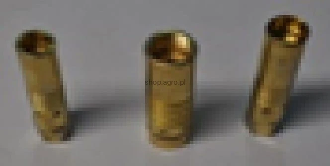 25508.jpg
