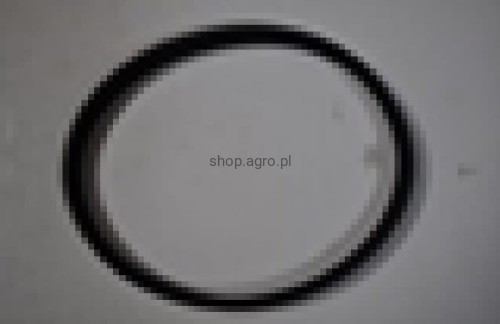 25466.jpg