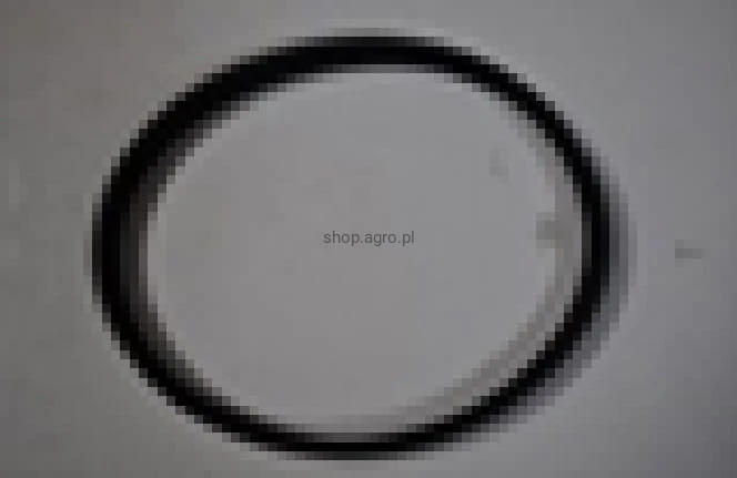 25466.jpg