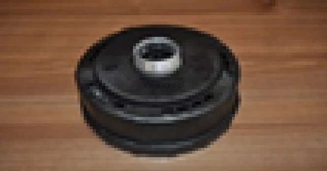 25450.jpg