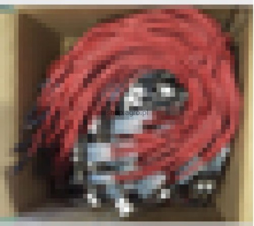 25410.jpg